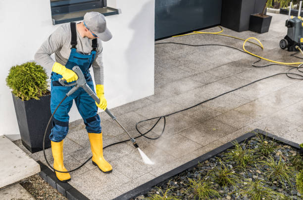 Best Sidewalk Pressure Washing  in Virginia, IL