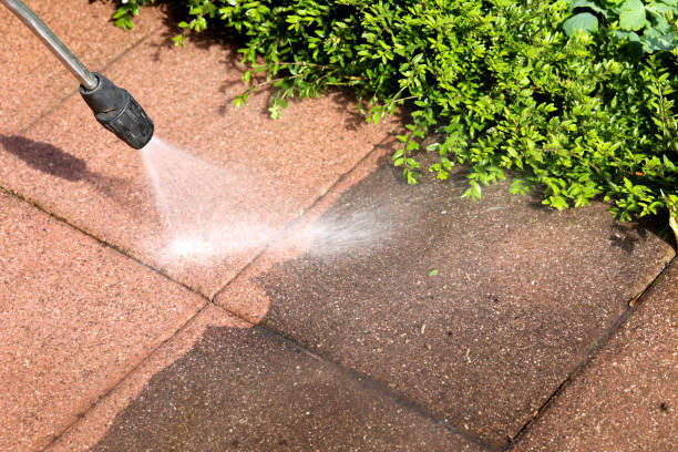 Best Affordable Power Washing  in Virginia, IL