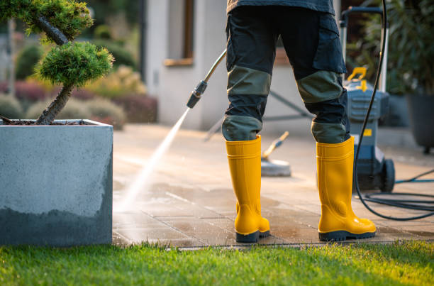  Virginia, IL Pressure Washing Pros
